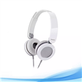 Auricular Plegable Panasonic Rp Hxs 200